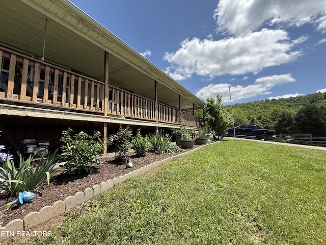 332 Tomlinson Rd, Pennington Gap, VA 24277 - view of green lawn