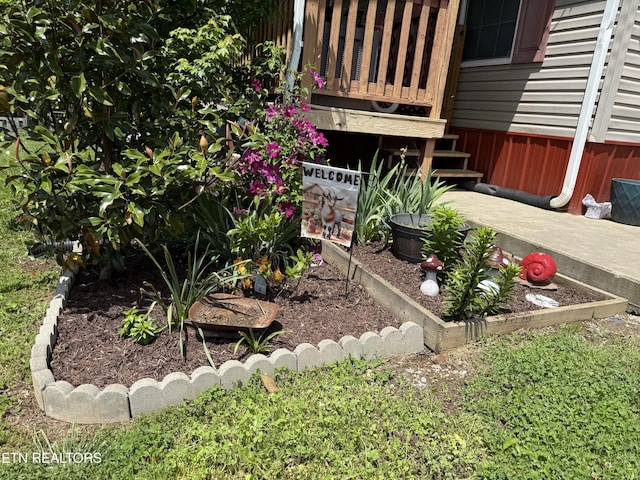 332 Tomlinson Rd, Pennington Gap, VA 24277 - view of yard
