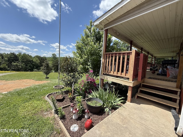 332 Tomlinson Rd, Pennington Gap, VA 24277 - view of green lawn