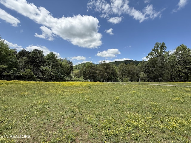 332 Tomlinson Rd, Pennington Gap, VA 24277 - view of wooded area with a view of rural / pastoral area