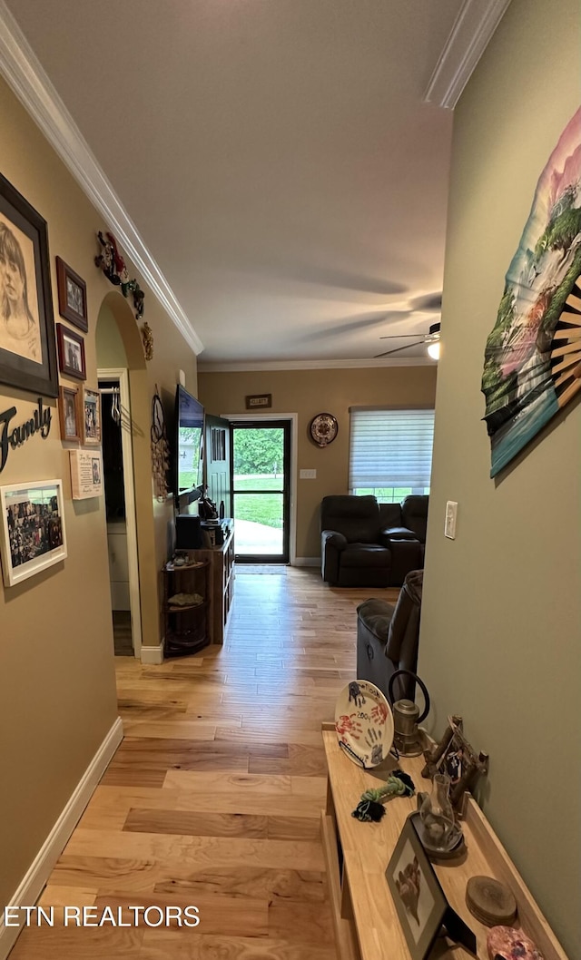 1923 Big Chiefs Skyview Dr, Sevierville, TN 37876 - corridor with ornamental molding, light wood-style floors, arched walkways, and baseboards