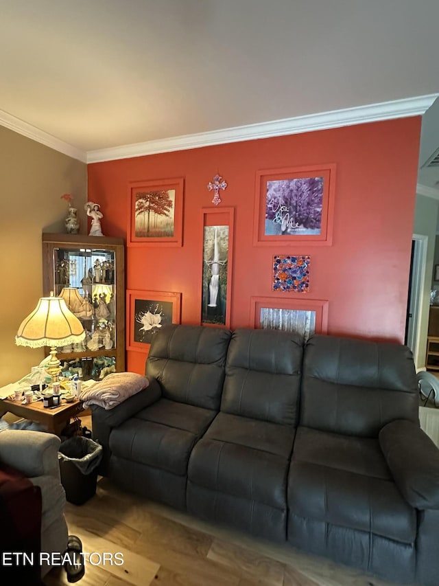 1923 Big Chiefs Skyview Dr, Sevierville, TN 37876 - living room featuring ornamental molding and wood finished floors