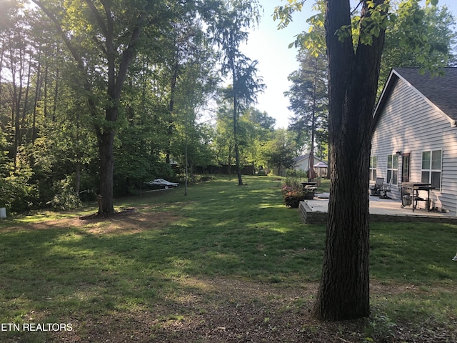 1923 Big Chiefs Skyview Dr, Sevierville, TN 37876 - view of green lawn featuring a patio