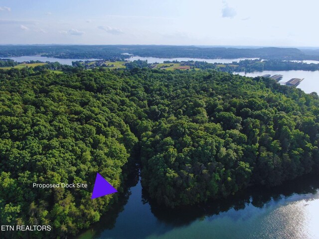 10650 W Antioch Church W Rd, Lenoir City, TN 37772 - photo 23