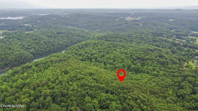 10650 W Antioch Church W Rd, Lenoir City, TN 37772 - photo 24