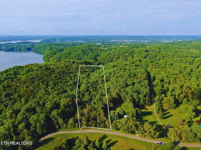 10650 W Antioch Church W Rd, Lenoir City, TN 37772 - photo 3