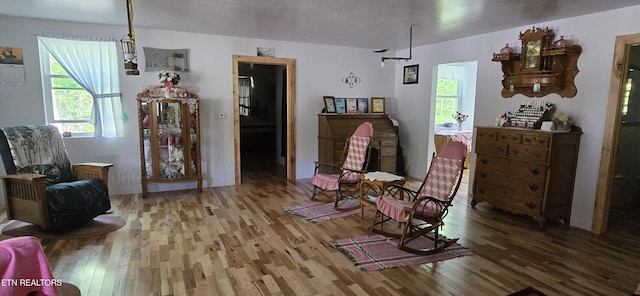 166 Knepp Rd, Deer Lodge, TN 37726 - sitting room with wood finished floors and plenty of natural light