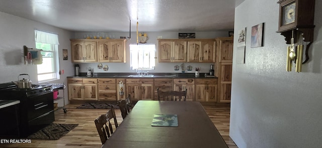 166 Knepp Rd, Deer Lodge, TN 37726 - kitchen featuring a sink, light wood finished floors, dark countertops, black range with gas stovetop, and a textured wall