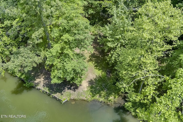 221 Irwinton Dr, Ten Mile, TN 37880 - photo 42