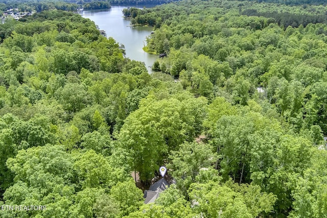 221 Irwinton Dr, Ten Mile, TN 37880 - photo 45