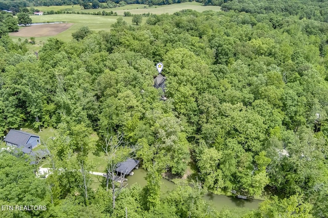 221 Irwinton Dr, Ten Mile, TN 37880 - photo 46