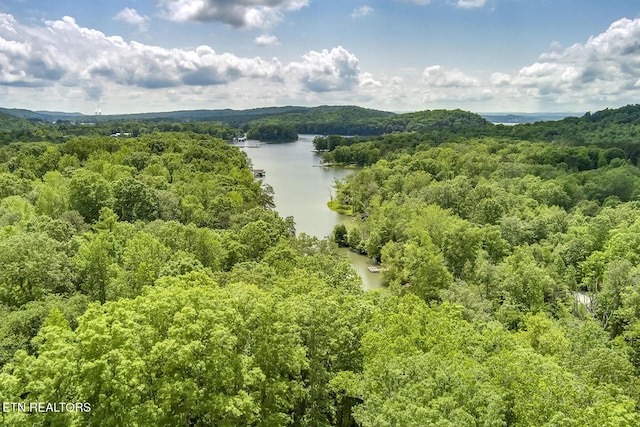 221 Irwinton Dr, Ten Mile, TN 37880 - photo 47
