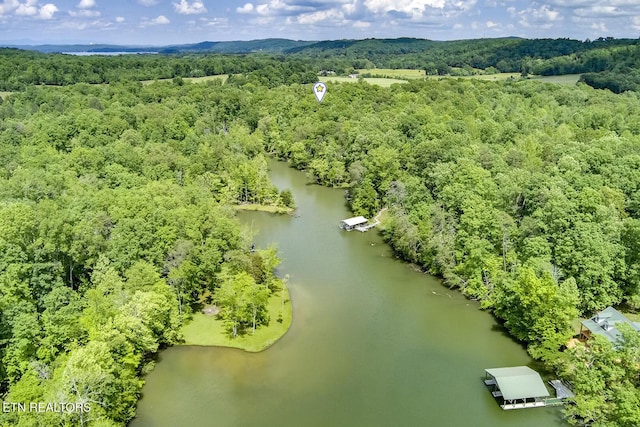 221 Irwinton Dr, Ten Mile, TN 37880 - photo 48