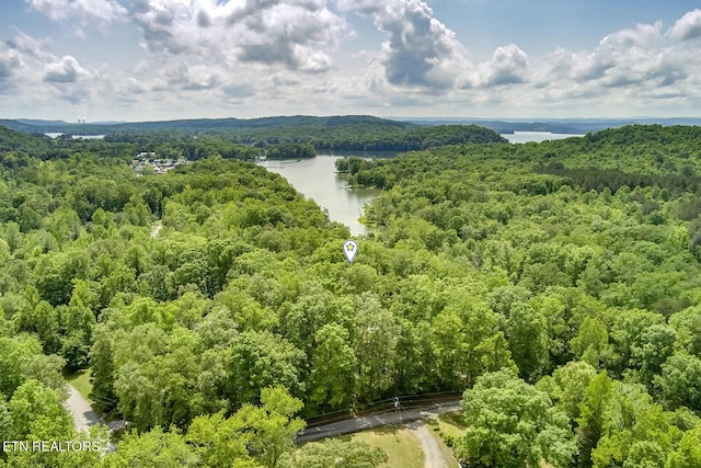221 Irwinton Dr, Ten Mile, TN 37880 - photo 49