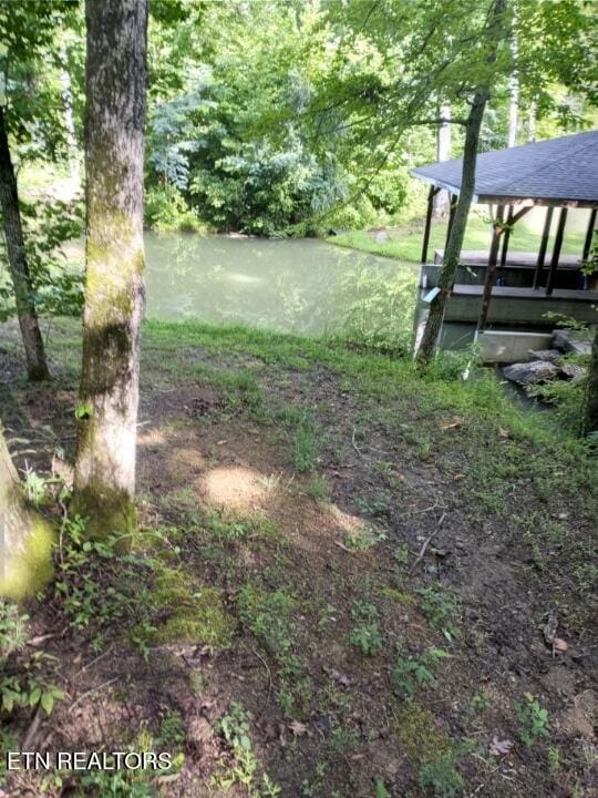 221 Irwinton Dr, Ten Mile, TN 37880 - photo 53