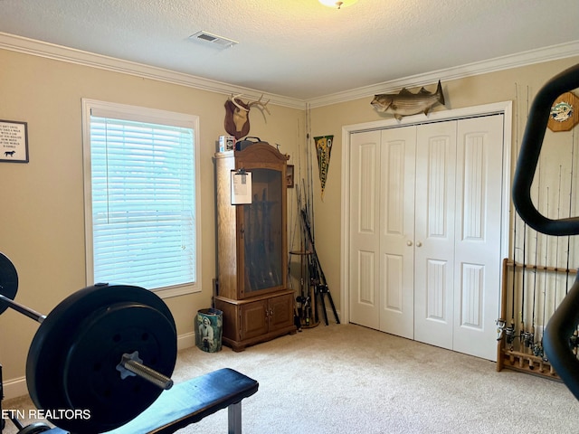 1617 Millstone Dr, Maryville, TN 37803 - living area with crown molding, carpet floors, healthy amount of natural light, and a textured ceiling
