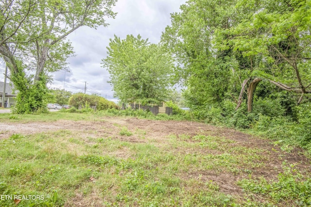 2918 Johnston St, Knoxville, TN 37921 - view of yard