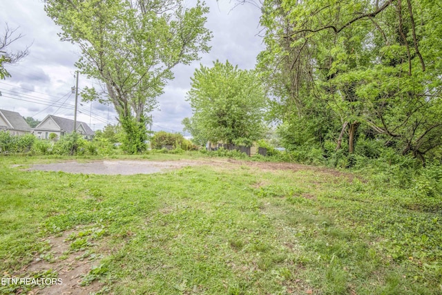 2918 Johnston St, Knoxville, TN 37921 - view of yard