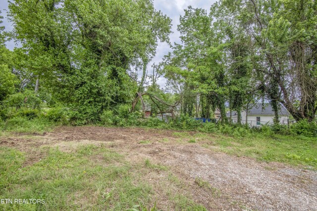 2918 Johnston St, Knoxville, TN 37921 - view of yard