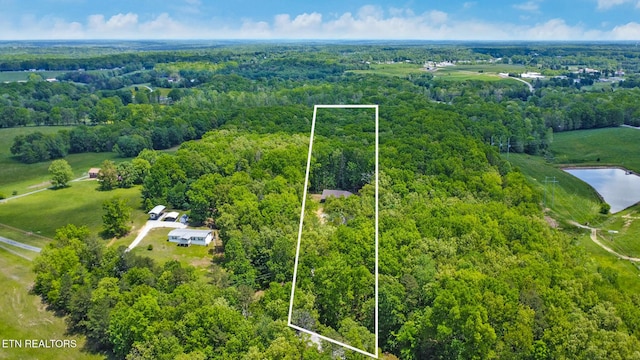 98 Paso Fino Trl, Jamestown, TN 38556 - view of property location with property boundaries highlighted, a forest, and a nearby body of water