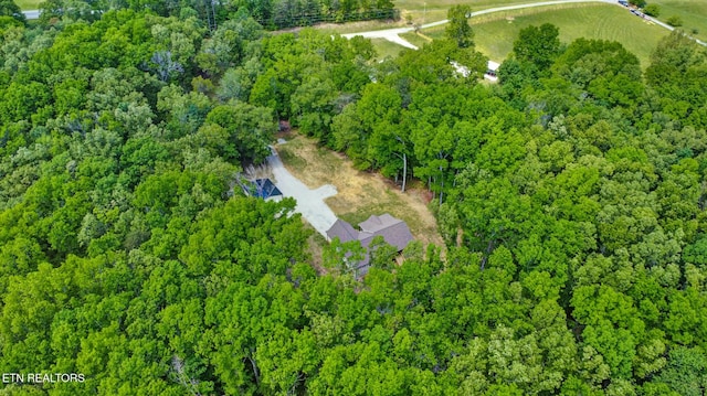 98 Paso Fino Trl, Jamestown, TN 38556 - aerial view of a forest