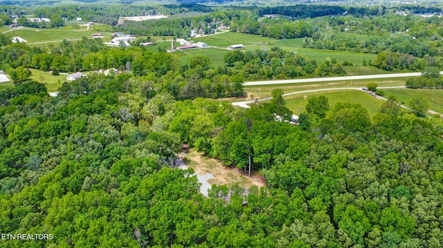 98 Paso Fino Trl, Jamestown, TN 38556 - view of property location featuring a forest