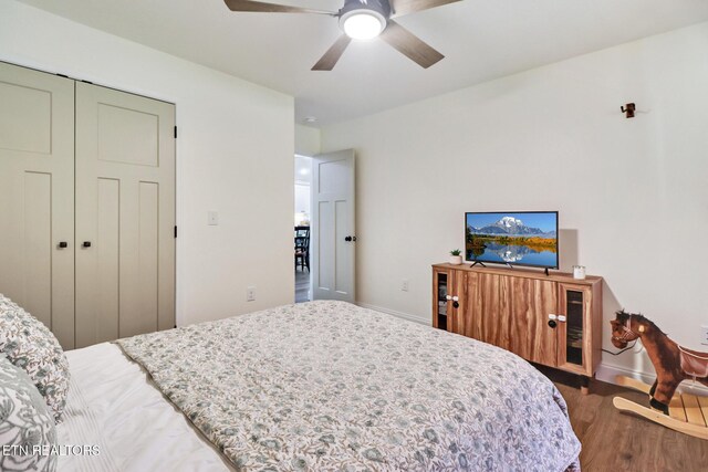 98 Paso Fino Trl, Jamestown, TN 38556 - bedroom featuring dark wood finished floors, ceiling fan, baseboards, and a closet