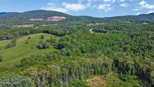 233 Copper Pt, Crossville, TN 38555 - photo 6