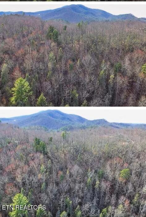 E Balls Hollow Rd, Cosby TN, 37722 land for sale