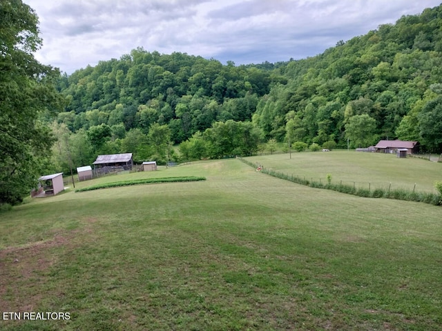 3381 Upper Caney Valley Rd, Tazewell, TN 37879 - view of yard featuring an outbuilding, a view of trees, and a storage shed