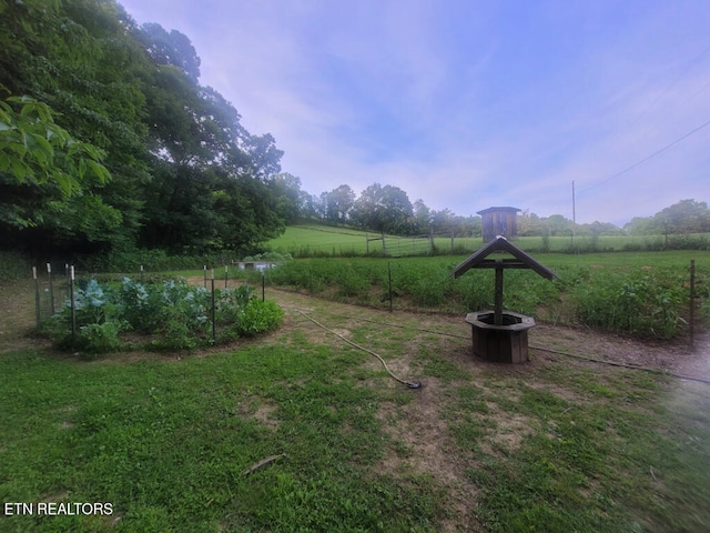 3381 Upper Caney Valley Rd, Tazewell, TN 37879 - view of yard with a view of rural / pastoral area