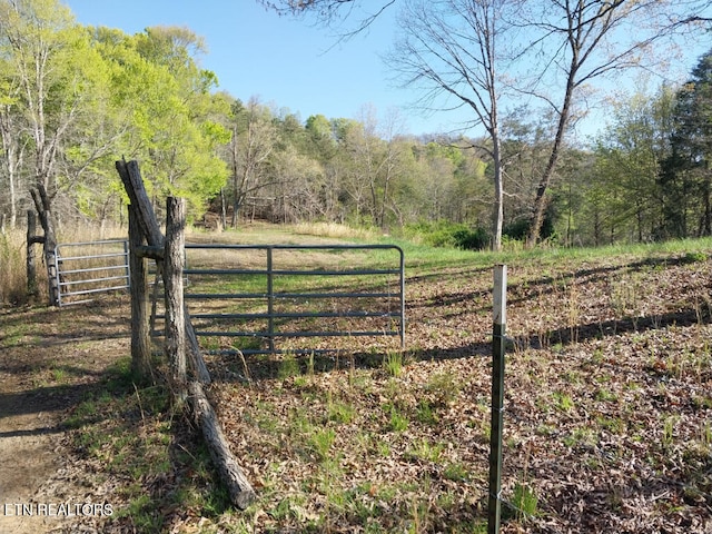 3381 Upper Caney Valley Rd, Tazewell, TN 37879 - gate featuring fence and a forest view