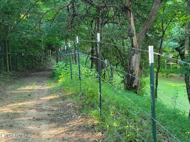 3381 Upper Caney Valley Rd, Tazewell, TN 37879 - view of woods