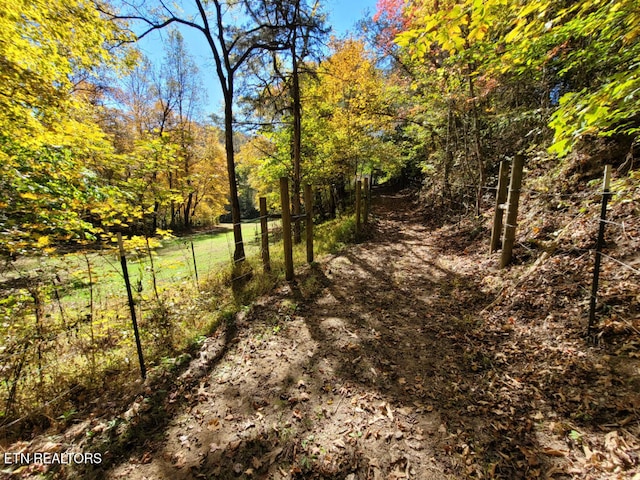 3381 Upper Caney Valley Rd, Tazewell, TN 37879 - view of road