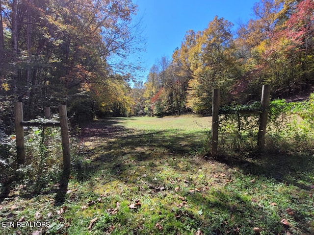 3381 Upper Caney Valley Rd, Tazewell, TN 37879 - view of yard with a wooded view