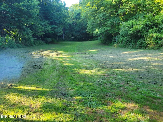 3381 Upper Caney Valley Rd, Tazewell, TN 37879 - view of green lawn with a wooded view