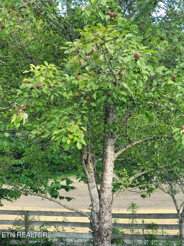 3381 Upper Caney Valley Rd, Tazewell, TN 37879 - view of local wilderness