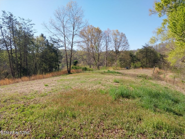 3381 Upper Caney Valley Rd, Tazewell, TN 37879 - view of yard featuring a view of trees