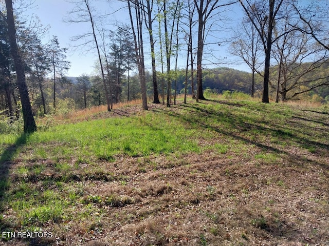 3381 Upper Caney Valley Rd, Tazewell, TN 37879 - view of yard