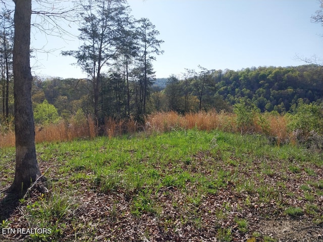 3381 Upper Caney Valley Rd, Tazewell, TN 37879 - view of woods