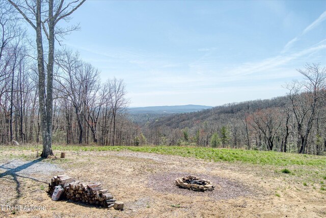 74 Black Cat Trl, Rockwood, TN 37854 - photo 5