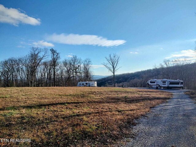 74 Black Cat Trl, Rockwood, TN 37854 - photo 3
