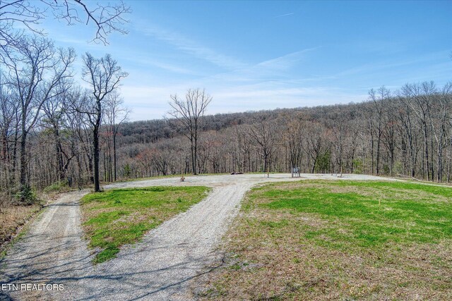 74 Black Cat Trl, Rockwood, TN 37854 - photo 6