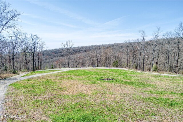 74 Black Cat Trl, Rockwood, TN 37854 - photo 8