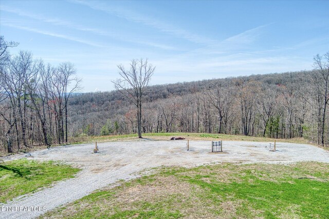 74 Black Cat Trl, Rockwood, TN 37854 - photo 9