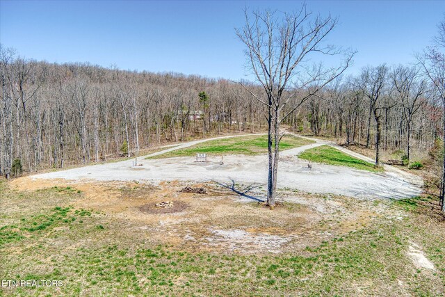 74 Black Cat Trl, Rockwood, TN 37854 - photo 10