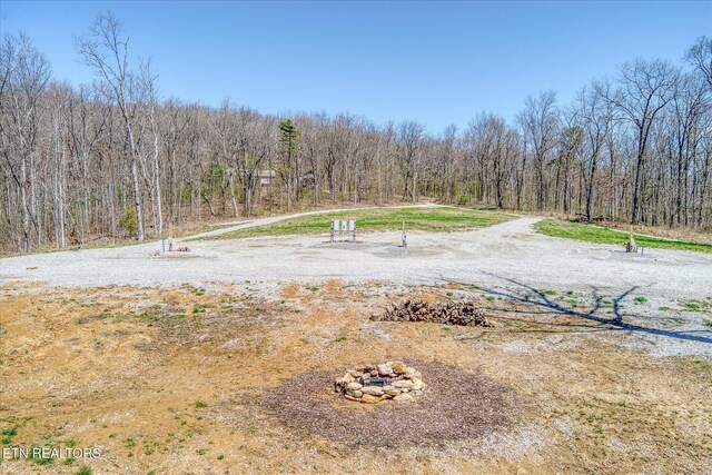 74 Black Cat Trl, Rockwood, TN 37854 - photo 11