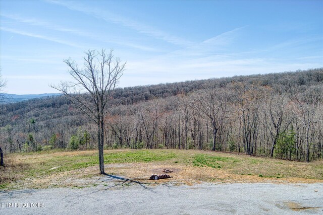 74 Black Cat Trl, Rockwood, TN 37854 - photo 12