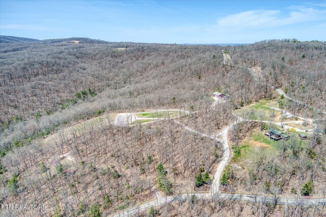 74 Black Cat Trl, Rockwood, TN 37854 - photo 14