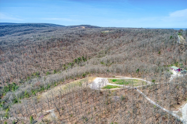 74 Black Cat Trl, Rockwood, TN 37854 - photo 15